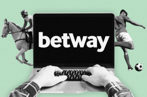 Overview of Betway